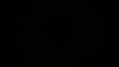 Sebastian online show from November 9, 2025, 5:55 pm