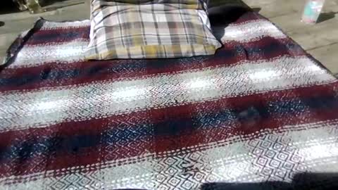 neosohorny online show from April 26, 2026, 7:22 pm