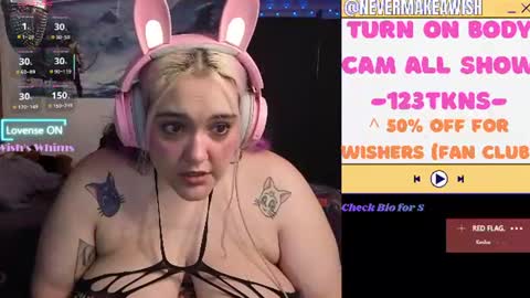 Snapshot of nevermakeawish chatting on July 7, 2026, 9:35 am Wishs Playground online show from July 7, 2026, 9:35 am