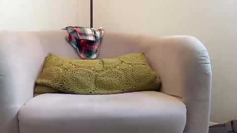 NvrSats911 online show from December 21, 2024, 6:34 pm