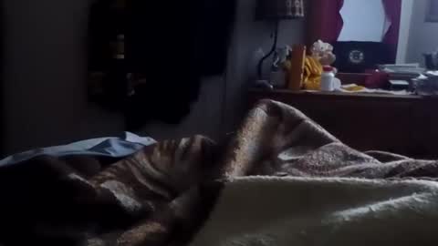 Matt online show from January 15, 2026, 10:31 am