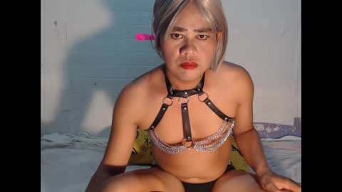 Snapshot of new_asian_ts chatting on November 3, 2025, 12:28 pm new_asian_ts online show from November 3, 2025, 12:28 pm