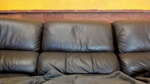 Snapshot of new_matilda chatting on December 31, 2024, 5:18 pm Matilda online show from December 31, 2024, 5:18 pm