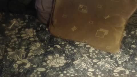 Lilly  online show from November 28, 2025, 4:37 am