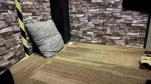 newzex66 online show from January 23, 2025, 12:09 pm