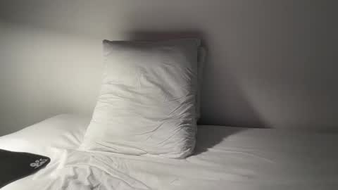 Snapshot of nfeibk chatting on October 24, 2025, 1:40 pm Adrian Von Ziegler online show from October 24, 2025, 1:40 pm