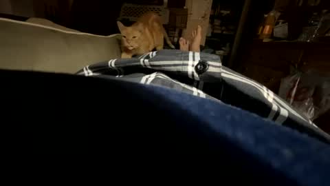 ngianop online show from October 23, 2025, 7:40 am