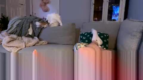 niceguy36963 online show from May 11, 2026, 3:23 am