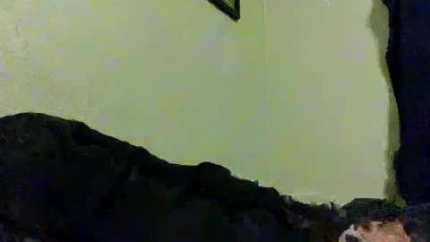 niceguy6986 online show from September 15, 2025, 9:20 am