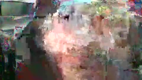 nick stavrou online show from February 16, 2026, 4:41 am