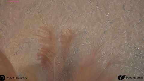 nichole__evans online show from December 16, 2024, 5:33 pm