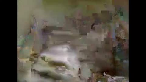 Nick online show from January 5, 2025, 2:08 pm