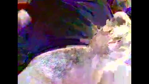 Snapshot of nickyfruit2 chatting on October 30, 2025, 9:22 am Nickyfruit online show from October 30, 2025, 9:22 am