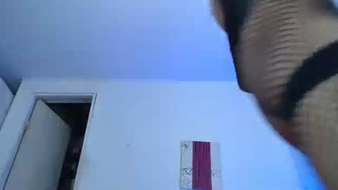 sammy hoot online show from December 29, 2024, 2:17 am