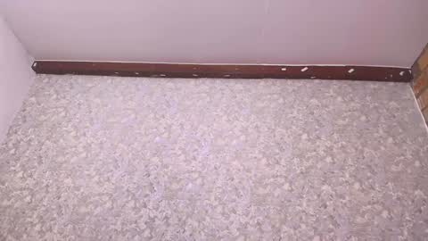 Nicol online show from December 27, 2024, 7:14 pm