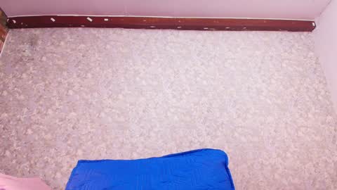 Nicol online show from January 24, 2025, 7:39 pm