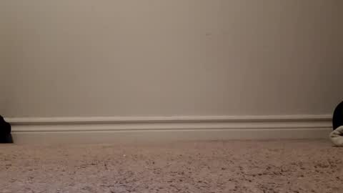 nicoleandbrian online show from December 31, 2024, 9:06 pm