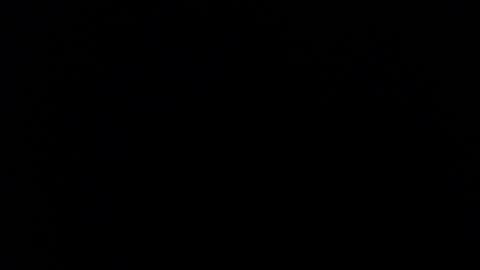 Nicole online show from September 26, 2025, 1:59 pm