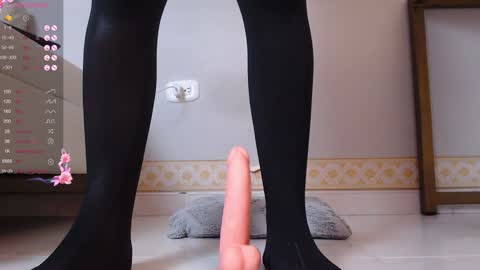 Nicol Flores  GMT-5 1530-2200  online show from December 29, 2024, 10:14 pm