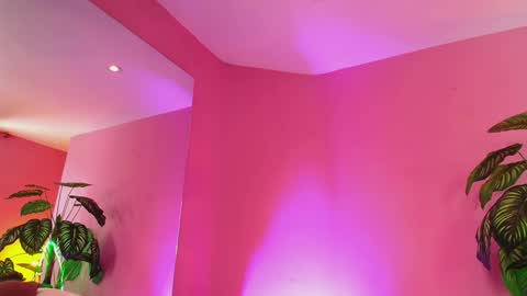 Nicol  online show from December 3, 2024, 4:50 pm