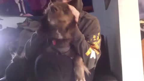 NicxDick online show from January 6, 2025, 5:16 pm