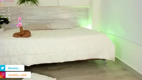 Niicoleta  online show from March 10, 2025, 8:34 pm