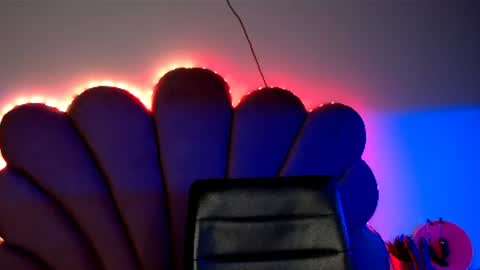    online show from January 9, 2025, 11:45 pm