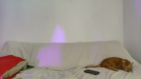 Snapshot of nikki_uwu chatting on June 2, 2026, 8:00 pm nikki_uwu online show from June 2, 2026, 8:00 pm
