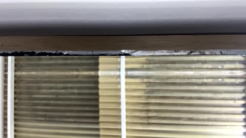 Nikki  online show from October 14, 2025, 3:07 am