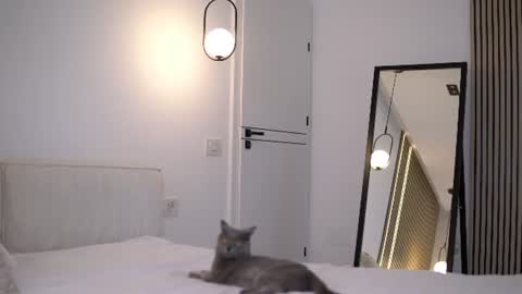 Snapshot of nikkimagic chatting on July 6, 2026, 6:43 am Nicole online show from July 6, 2026, 6:43 am