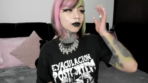 Nikki Ramone   online show from January 23, 2025, 11:48 am