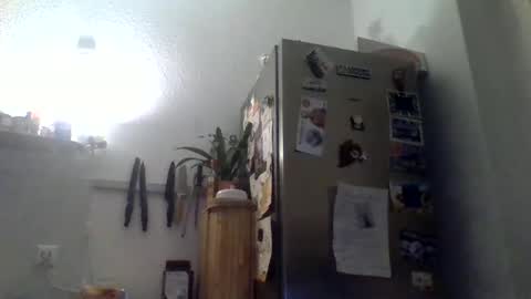 nilsberlin99 online show from February 8, 2026, 1:09 am