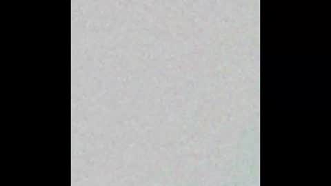 Nina online show from January 7, 2026, 12:40 pm