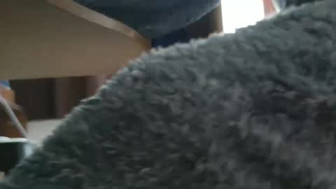 nineinchhard online show from October 20, 2025, 9:43 am