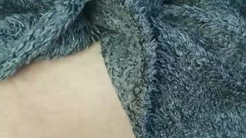 nineinchhard online show from February 24, 2026, 10:35 am