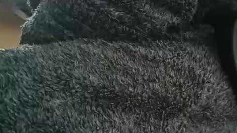 nineinchhard online show from April 1, 2026, 10:38 am