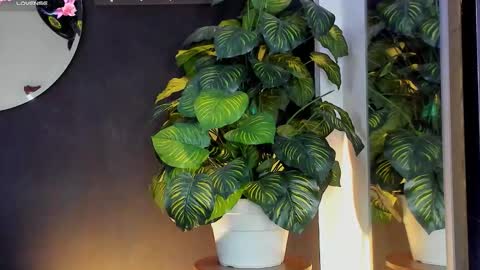 Noah  online show from March 20, 2026, 3:22 am