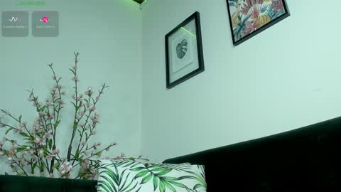 Snapshot of noah_devil chatting on January 27, 2025, 3:15 am Noah online show from January 27, 2025, 3:15 am