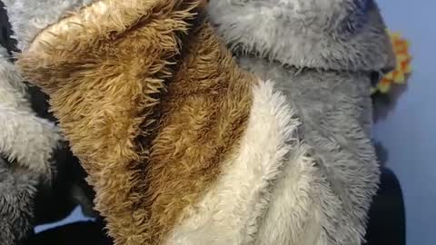 Noah Millers online show from January 23, 2025, 7:11 am