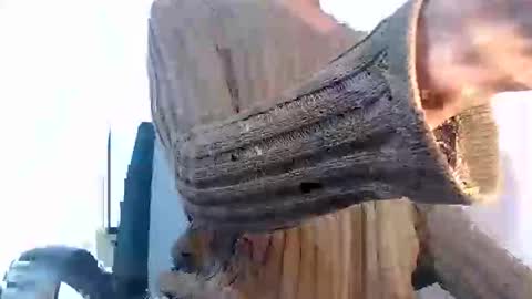 Noah Millers online show from January 27, 2025, 10:27 am