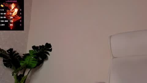 Noah online show from December 30, 2024, 6:27 pm