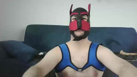 Snapshot of noapratzfr chatting on March 11, 2025, 12:39 pm noapratzfr online show from March 11, 2025, 12:39 pm