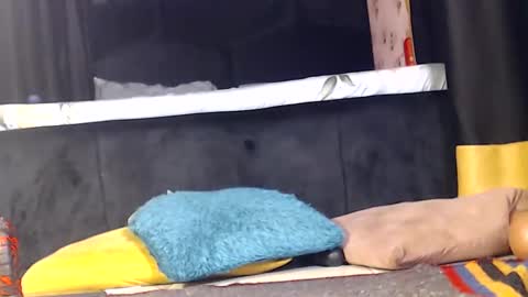 Noir Thats My Name Call Me Bablicious online show from December 16, 2024, 10:03 pm