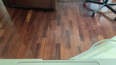 Archangel online show from April 25, 2026, 1:52 pm