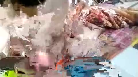 sim  nib online show from January 26, 2025, 9:29 am