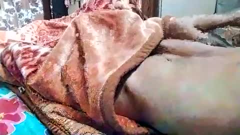 sim  nib online show from March 1, 2025, 5:31 am