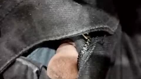 sim  nib online show from November 20, 2025, 6:07 pm