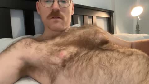 No Plan online show from December 1, 2024, 6:08 pm