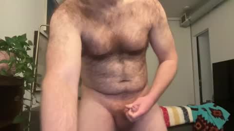 No Plan online show from January 27, 2025, 11:32 am