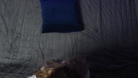 Eva online show from December 11, 2024, 12:12 pm